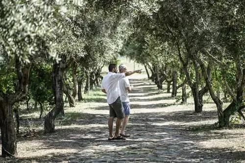 Фраскати: Антонио Бенедетти и я на его винограднике Cantine Santa Benedetta. Фото Марины Паскуччи.