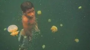 Мальчик плавает в скрытом озере.