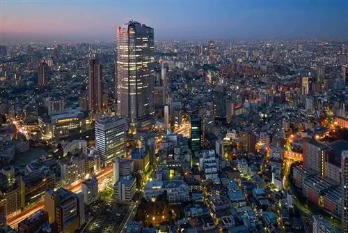 4 самых впечатляющих мегапроекта в мире