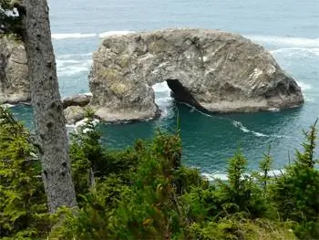 Систэк в Арч-Пойнт-Лукаут, Тихоокеанский Северо-Запад.