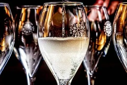 Просекко в Травизо, Италия. Фотографии Пола Шоула.