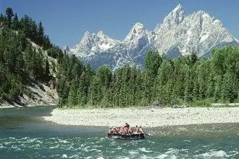 Познакомьтесь с дикой природой & национальных парков Вайоминга этим летом