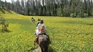 Верховая езда - отличный способ оценить природную красоту Вайоминга.