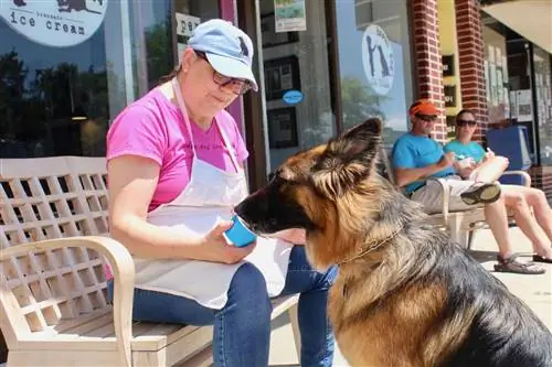Собаку автора кормят мороженым Brown Dog. Полуостров Делмарва