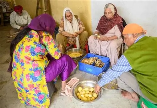 Еще один вариант волонтерства в сикхском храме - это приготовление овощей, которые жертвуются ежедневно.