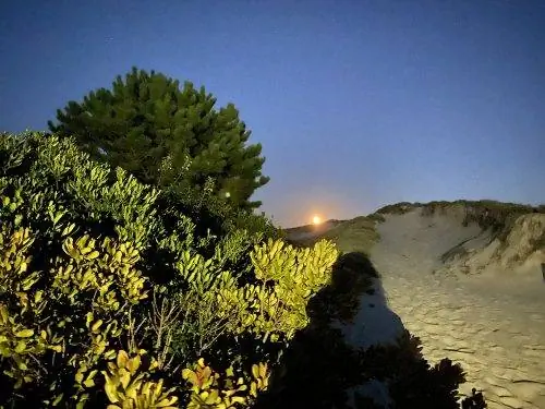 Лунная тень