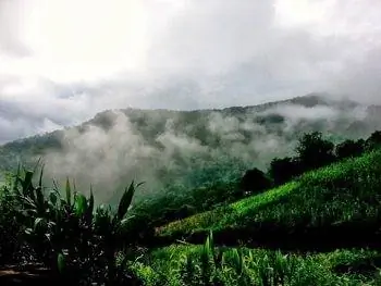 Утро в районе горных племен Северного Таиланда. фотографии Кристины Кулябиной.