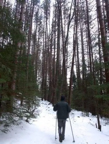 Ложская тропа в большом парке.