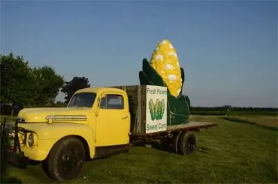 Сладкая кукуруза.