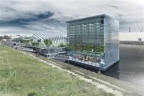 Плавающая пищевая полоска 1 1