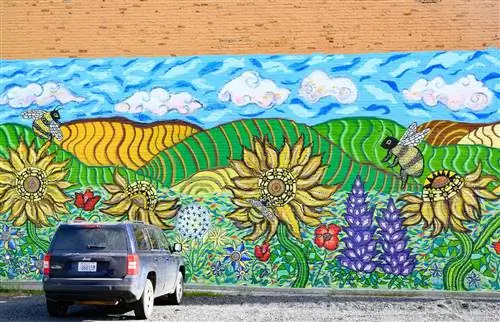 Красочное уличное искусство в городе Колфакс