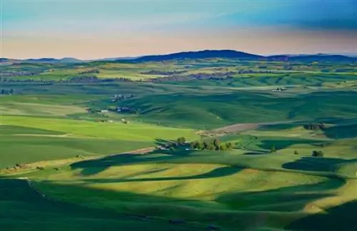 Для фотографов Государственный парк Steptoe Butte является очень ценным местом для снимков восхода и заката.