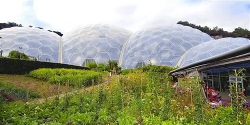 Биомы тропических и тропических лесов Eden Project, Корнуолл, Англия.