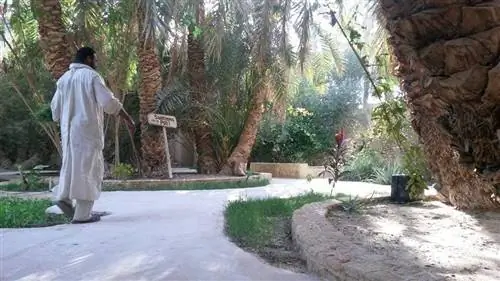 Садовые дорожки в отеле Galiet Ecolodge, Сива, Египет.
