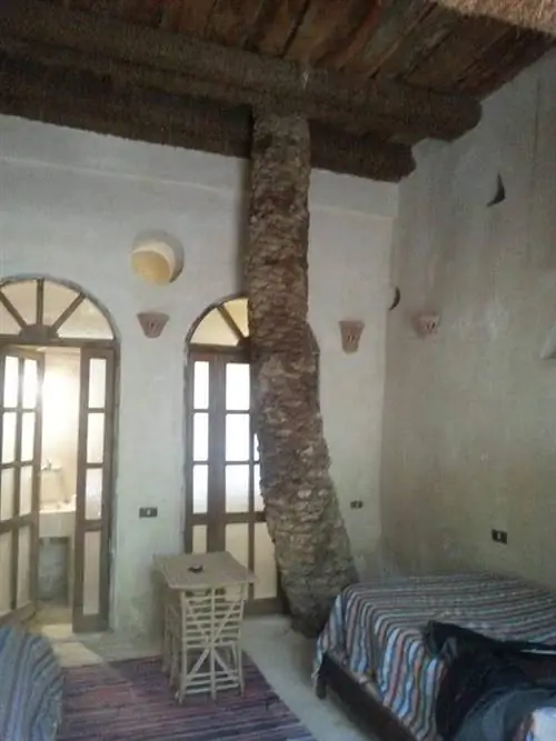 Живая пальма в нашем номере в Galiet Ecolodge.