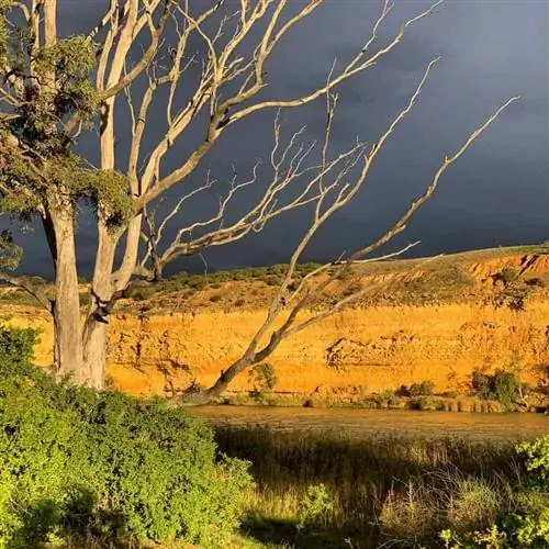 Темные облака подсвечивают скалы, похожие на Соты.