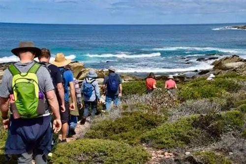 Шоу полевых цветов, Национальный парк реки Фицджеральд, 10 км ходьбы