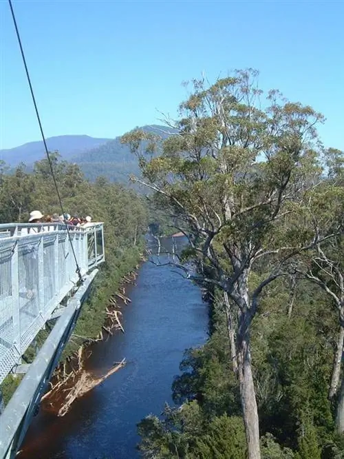 Воздушная прогулка над деревьями и через реку незабываема