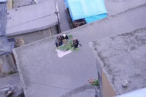 дамы, продающие травы в Масуле, Иран. Фотографии Лене Имбсен.