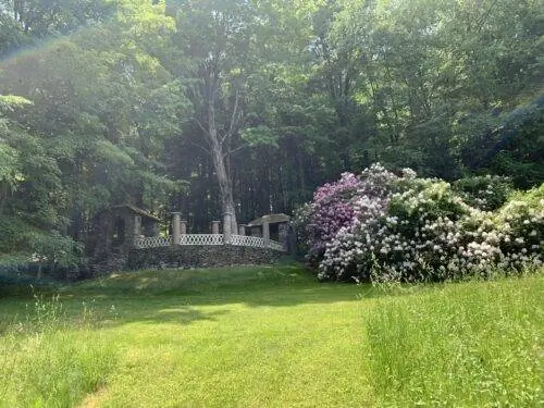 Туннель из рододендронов, ведущий к каменной дорожке в поместье Вермонт. Фотографии Айси Рид.