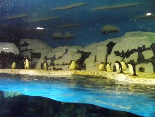 Океанский парк Лаохутан