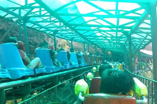 Далянь, Китай: возьмите тобагган, попробуйте клецки с морскими червями