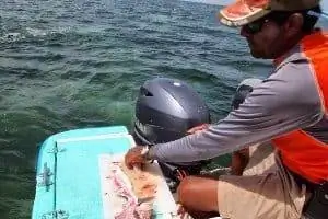 Капитан Мушу разделывает рыбу.