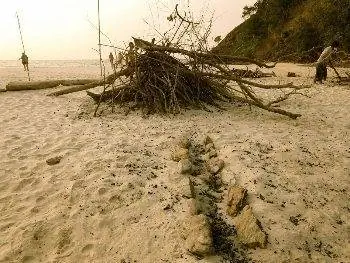 Наша куча коряг разожгла эпический костер на острове Суинтон.