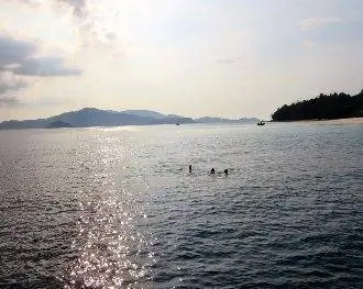 плавание в океане