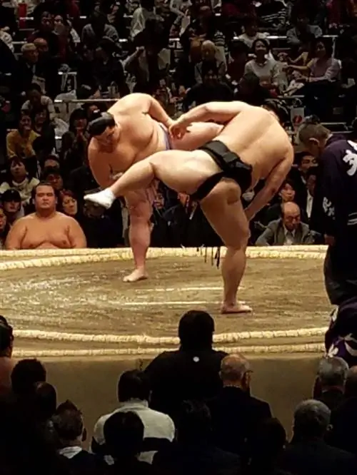 борьба сумо