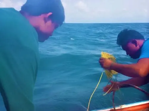 закидывать сети