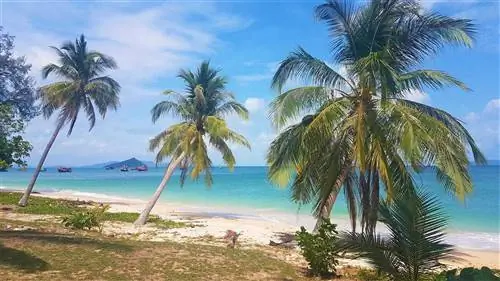 Koh Bulon Les School Beach - настоящий природный рай.