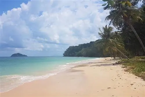 Ко Булон Лес Школьный Пляж