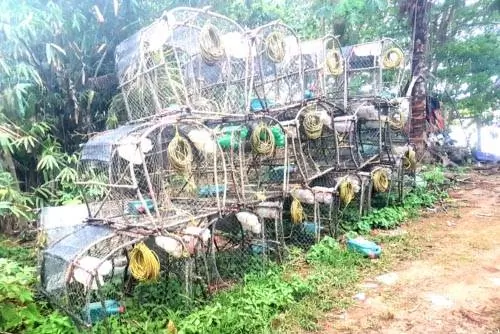 ловушки для крабов