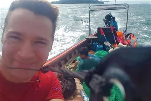 Высокие волны у берегов острова Булон-Ле уходили в море.