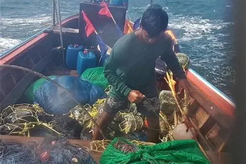 Таиланд: плавание с морскими цыганами