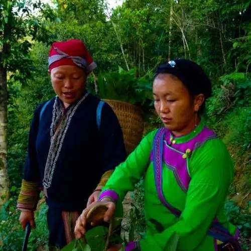 D7C5F4ECA8634CFDA36CEA3E4915477A