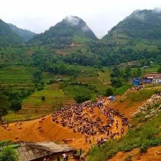 Высокогорье Северного Вьетнама.