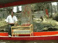 Гондолы в Мехико в плавучих садах Сочимилько.