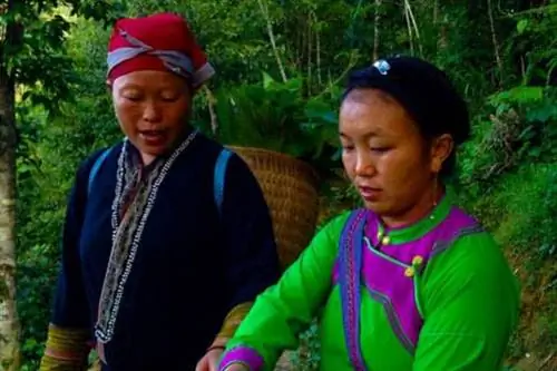 Вьетнамское нагорье: Убийственный путь