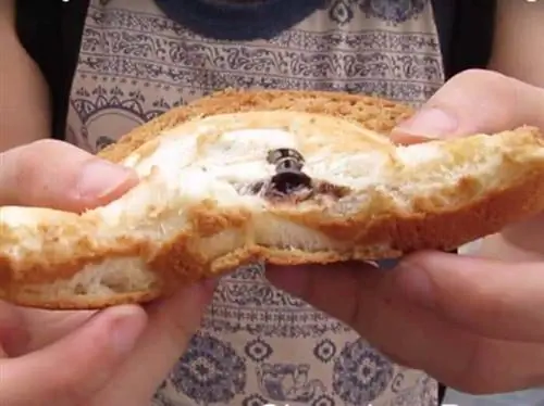 Шоколадная булочка Кинг Роти.