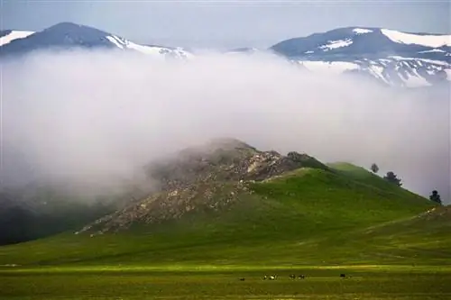 Республика Алтай, поселок Кош-Агач, июнь. Местных жителей здесь называют Теленгитами, это древний тюркский народ. Средняя продолжительность их жизни составляет 50 лет. Здесь любят собираться вместе и обсуждать повседневные дела и домашний скот. Так как животноводство очень развито в этом районе Горного Алтая из-за сложившегося образа жизни местного населения. Быдло для них все деньги и еда.