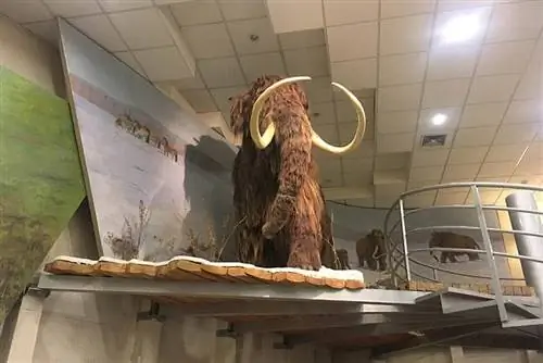 Якутия, Россия, Южная Сибирь