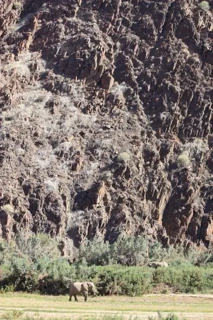 Слон в реке Хоарусиб, фото Тома Дотона