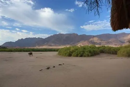 Скалистая масса Брандберга с крыльца нашего шале, фото Тома Дотона.