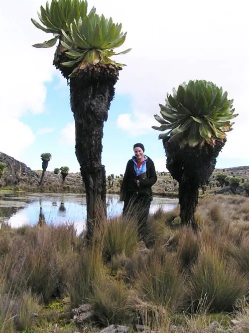 Гигантские земснаряды в долине Макиндер в Кении