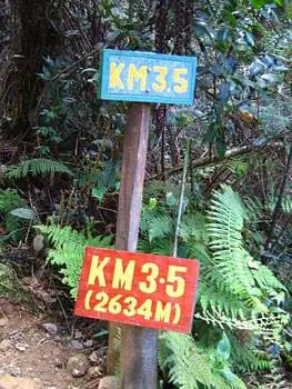 Маркеры расстояний выравнивают тропу вверх.