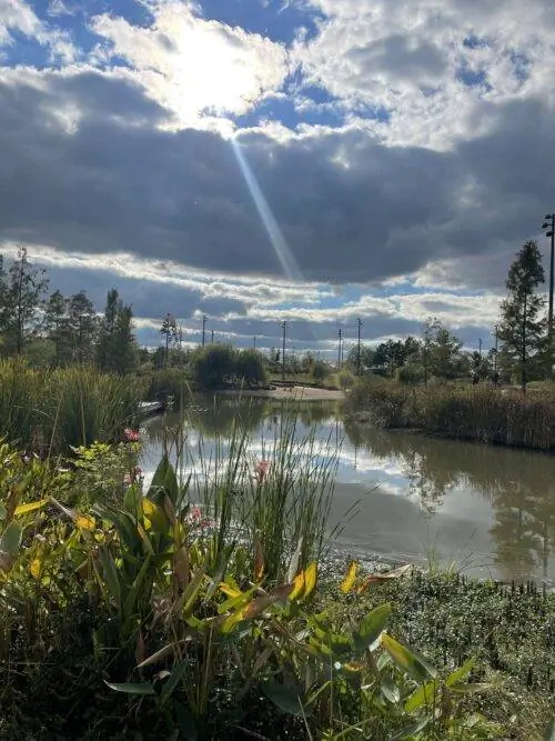 Место сбора