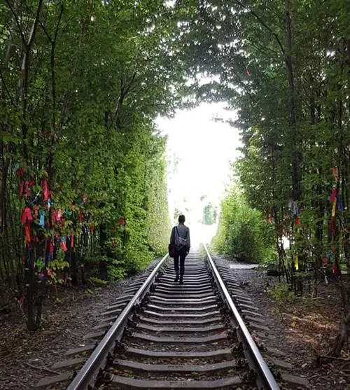 «Туннель любви» Клевана, недавно прославившийся в Instagram, в Украине.