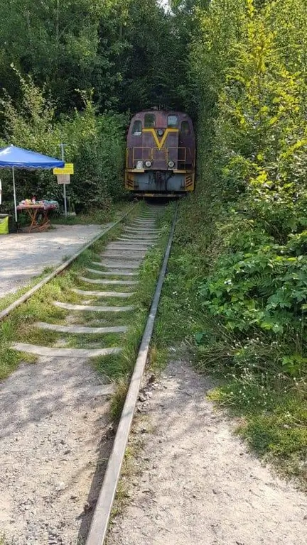 По знаменитому тоннелю любви курсируют поезда.